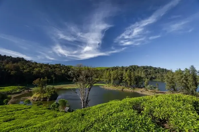 10 Wisata Alam di Bandung untuk Pengalaman Liburan Keluarga yang Menyenangkan