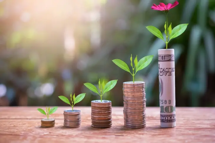 7 Tips Memilih Reksadana Pasar Uang Terbaik untuk Pemula